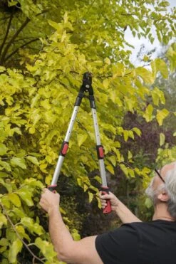 Kreator KRTGR4013 Telescopische Takkenschaar - 63-89 Cm Totale Lengte - . Ø39 Mm Knipdiameter -Merkloos Winkel 800x1200 15