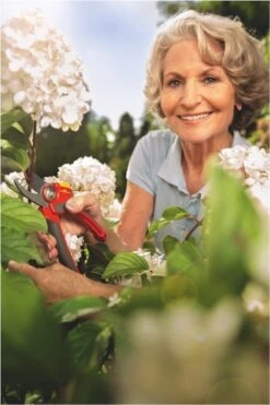 WOLF-Garten Snoeischaar "Premium Plus" RR 4000 - Max. Knipdiameter 22 Mm - Links- En Rechtshandige - Softinleg Handgreep - Snijhoek 30° - Voor Grote Handen - Vervangbare Messen 21 WOLF-Garten Snoeischaar "Premium Plus" RR 4000 - Max. Knipdiameter 22 Mm - Links- En Rechtshandige - Softinleg Handgreep - Snijhoek 30° - Voor Grote Handen - Vervangbare Messen -Merkloos Winkel 800x1200 5