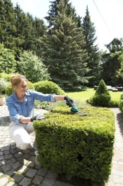 Bosch ISIO Gen III Accu Buxusschaar + Grasschaar 8 Bosch ISIO Gen III Accu Buxusschaar + Grasschaar -Merkloos Winkel 800x1200 6