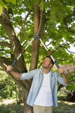 Gardena TeleCut Takkenschaar 650-900 B - Uitschuifbare Armen - Tot Max 90 Cm -Merkloos Winkel 800x1200 9