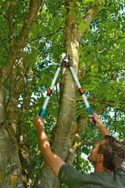 Gardena TeleCut Takkenschaar 650-900 B - Uitschuifbare Armen - Tot Max 90 Cm -Merkloos Winkel 801x1200