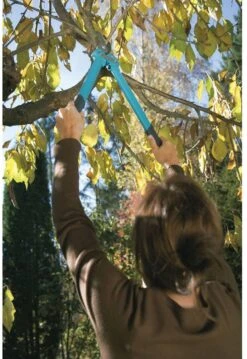 GARDENA Comfort 500 BL Takkenschaar - Max Knipdiameter 35 Mm -Merkloos Winkel 825x1200 7