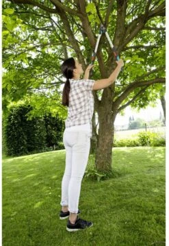 GARDENA - TeleCut Telescopische - Takkenschaar 520-670B - 42 Mm Verstelbare Lengte -Merkloos Winkel 826x1200