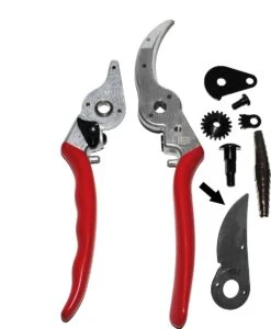 Felco 2 + GRATIS Felco Handschoenen In Cadeauverpakking -Merkloos Winkel 987x1200