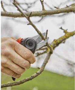 GARDENA - ExpertCut - Snoeischaar - 22 Diameter Tak -Merkloos Winkel 999x1200 1